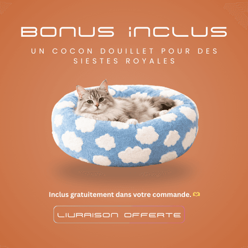 Pack Familial 4 Gants Magiques - Image 4